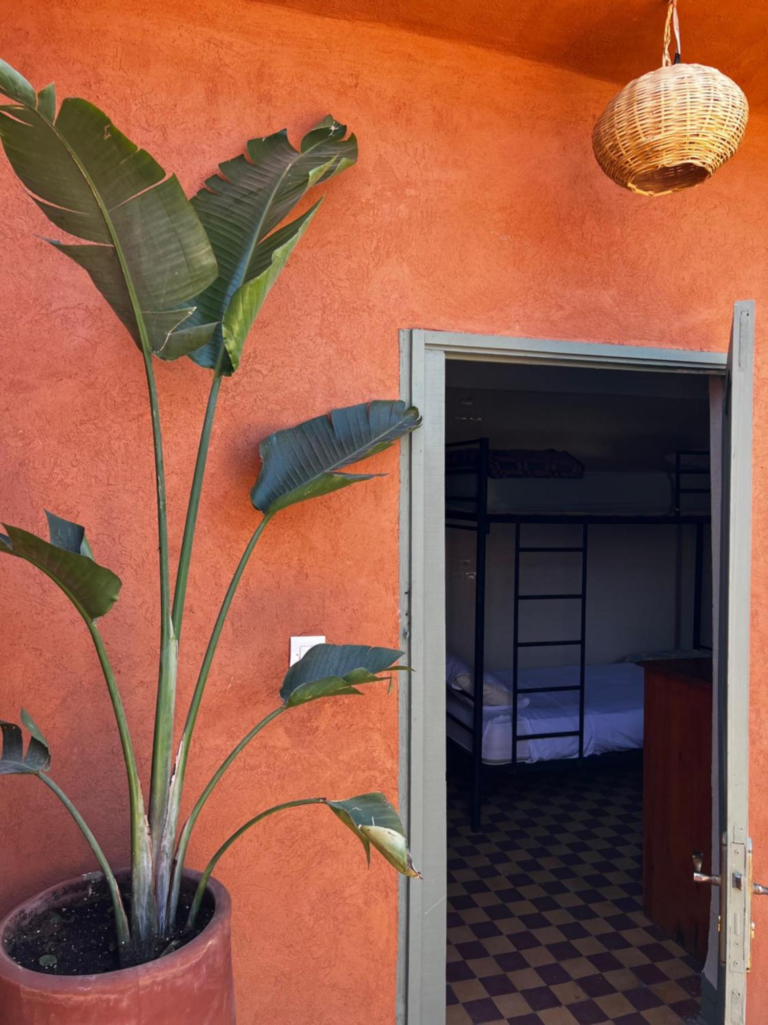 Medina Oasis Hostel มาร์ราเกช ภายนอก รูปภาพ